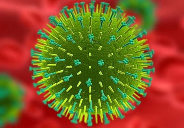 News alert: 7 cazuri de coronavirus la Petrolul Ploiesti; ce se intampla cu meciurile „lupilor galbeni”