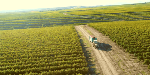 Investitie de 5 milioane euro: Tohani Romania a inaugurat un nou complex de cazare pentru turismul viticol