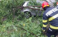 Furtunile au lasat urme in mai multe localitati din Prahova! In Ploiesti, au cazut copaci- noroc ca n-au facut victime!