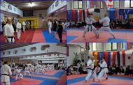 Ce frumoase sunt astfel de initiative: Demonstratie de karate la AIKO Campina pentru participantii la proiectul Erasmus derulat de Scoala ”Hasdeu”. In rol…principal, chiar primarul!