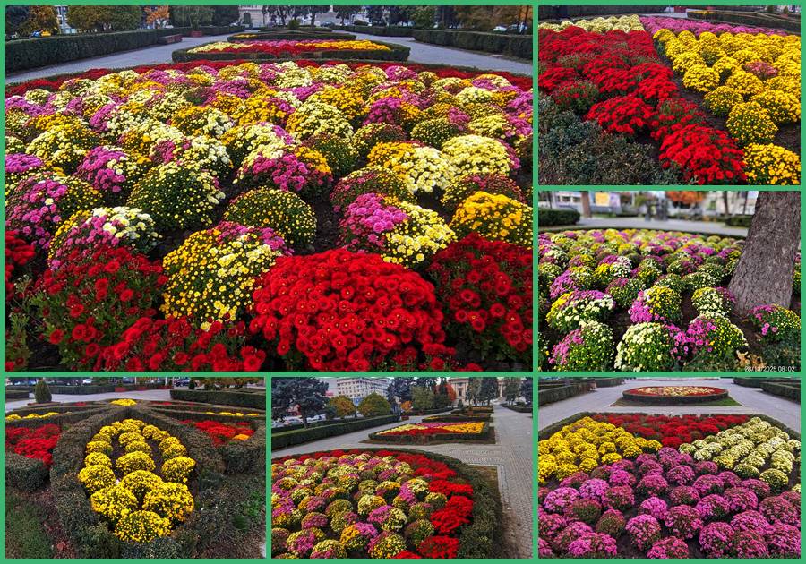 Poeziile pamantului ne dau binete in orasul lui Nichita